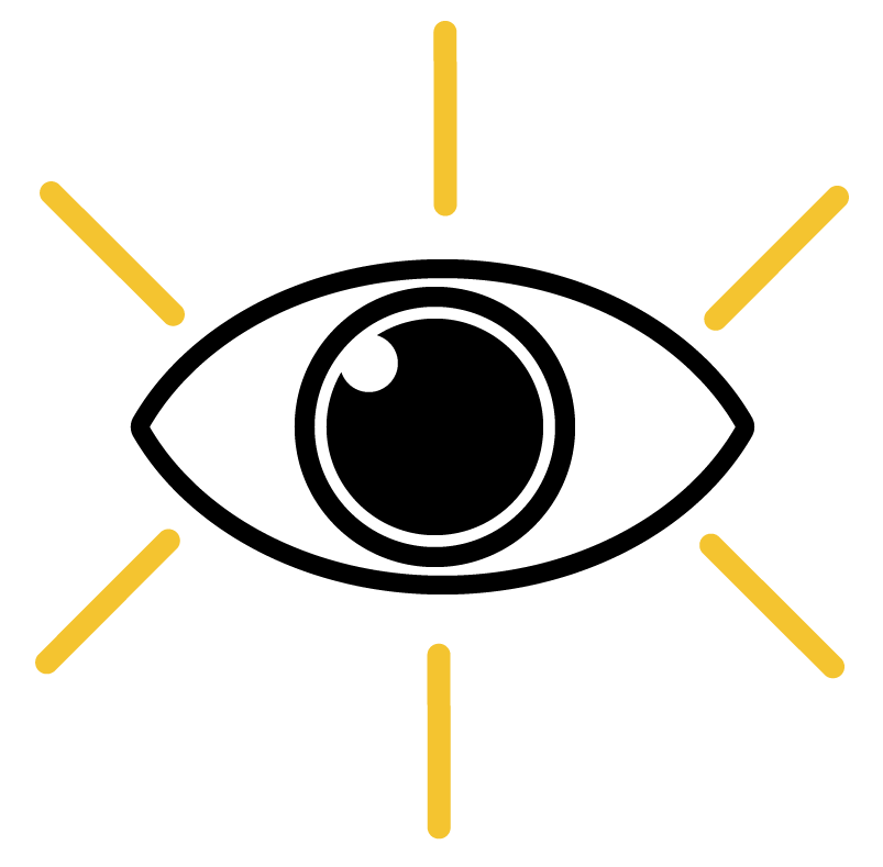 Vision Icon